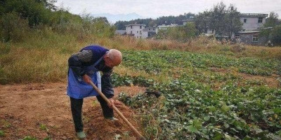 为什么现在有些农村青壮年不愿意在乡下种田地而是去城里打工