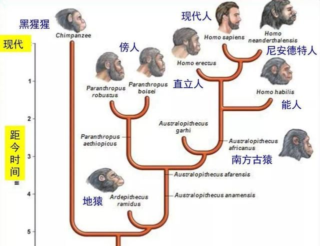 人类之间存在生殖隔离吗图 8